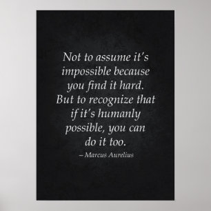 Stoic Quote - Motivational Poster