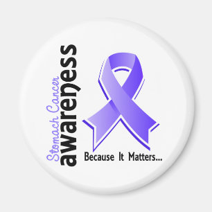 Stomach Cancer Awareness 5 Magnet