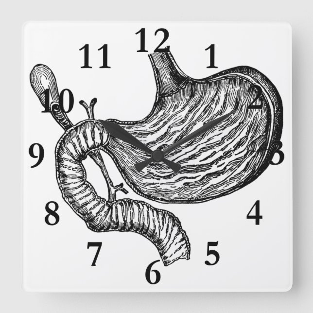 stomach drawing clock (Front)