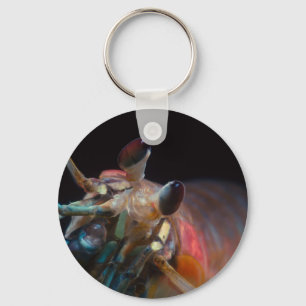 Stomatopod (Mantis Shrimp) Key Ring