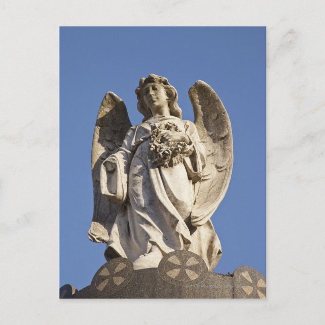 Stone Angel Looking Down Statue in Buenos Aires Postcard (Front)
