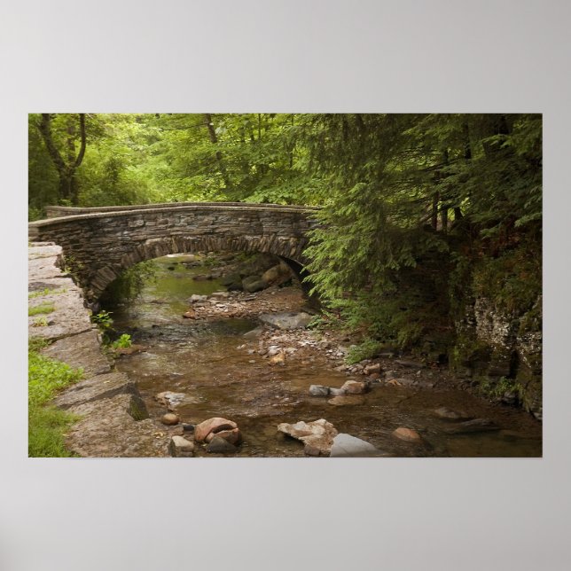 Stone Arch Bridge  Print (Front)