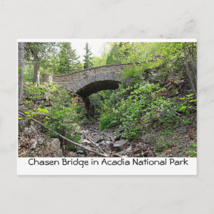 Stone bridge - Acadia National Park Postcard