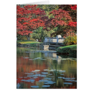 Stone bridge card