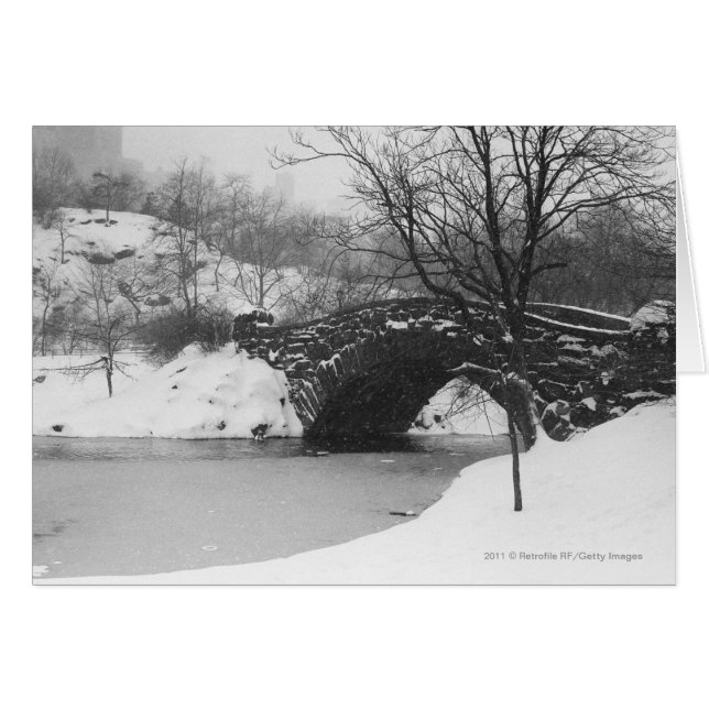 Stone bridge over snow covered river (Front Horizontal)