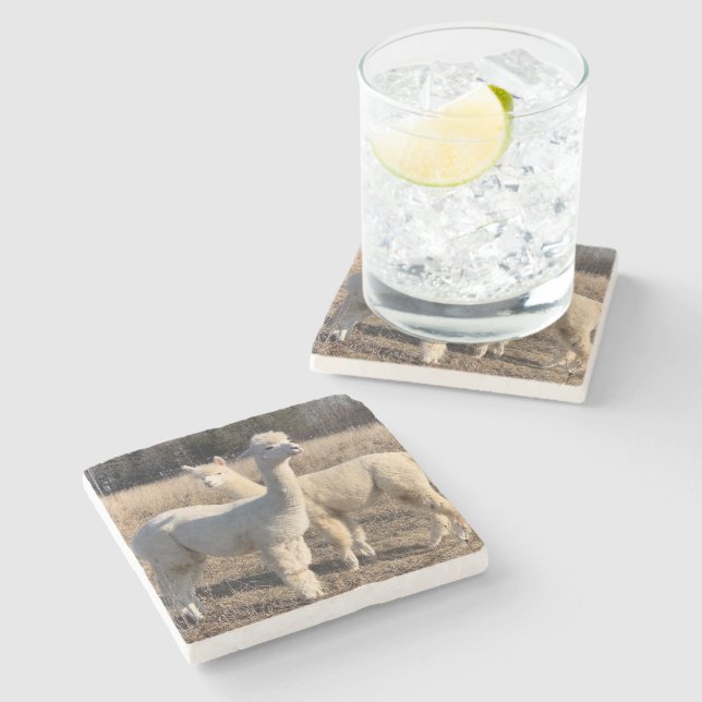 Stone Coaster - Alpacas Abby & Bailey (Side)