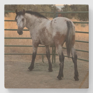 Stone Coaster_appy backside  Coaster