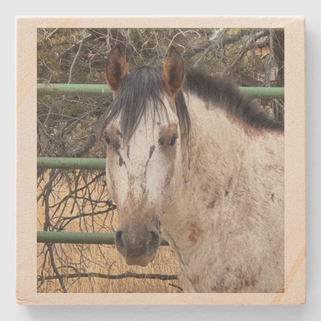 Stone Coaster- Happy Appy Coaster (Front)