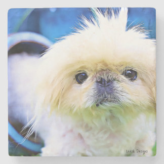 Stone Coaster Pekingese Marcus!