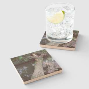 Stone Coaster with square images
