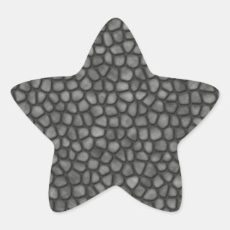 Stone Floor Star Sticker