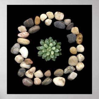 stone frame - round - succulent poster