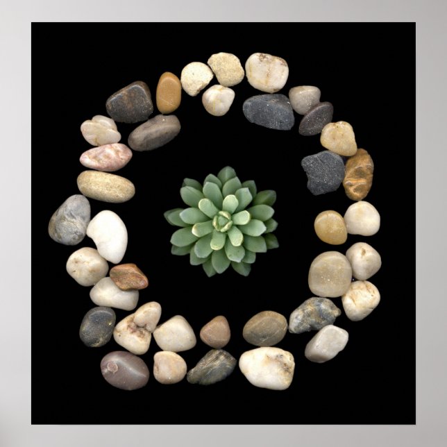 stone frame - round - succulent poster (Front)