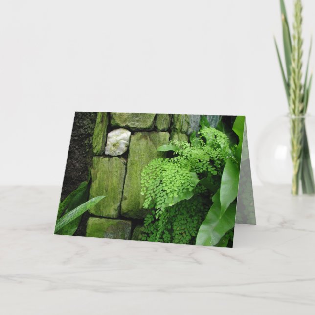 Stone Garden: Aristotle - Greeting Card (Front)