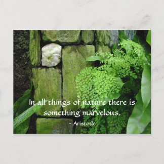 Stone Garden: Aristotle - Postcard