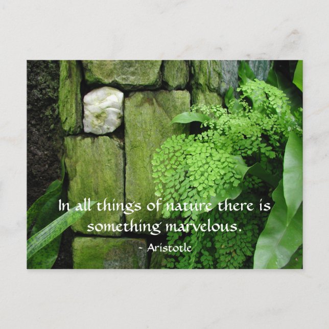 Stone Garden: Aristotle - Postcard (Front)
