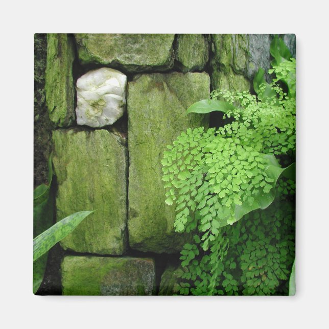 Stone Garden - Magnet #1 (Front)