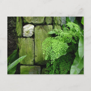 Stone Garden - Postcard