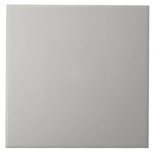 Stone Gray Ceramic Tile. Ceramic Tile