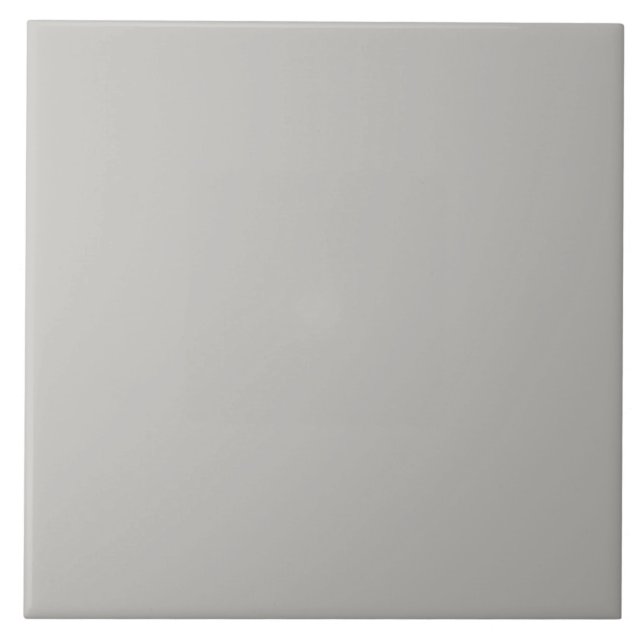 Stone Gray Ceramic Tile. Ceramic Tile (Front)