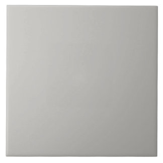 Stone Gray Ceramic Tile. Tile