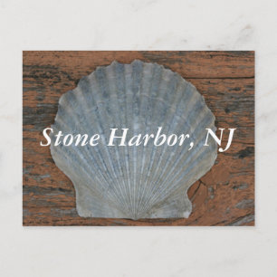 Stone Harbor Scallop Shell Postcard