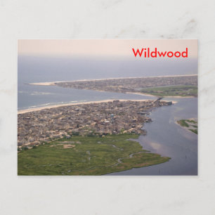 Stone Harbour - Wildwood, NJ Postcard
