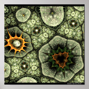 Stone Lichen Poster