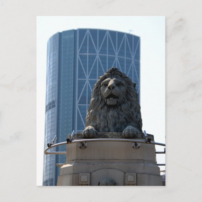 Stone lion in Calgary postcard (Front)