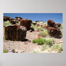 Stone Logs in The Petrified Forest