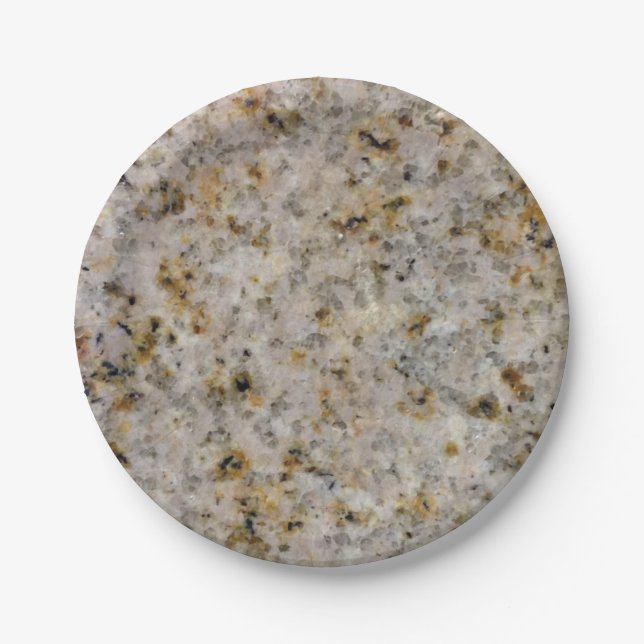 Stone Look - Granite Paper Plate (Front)