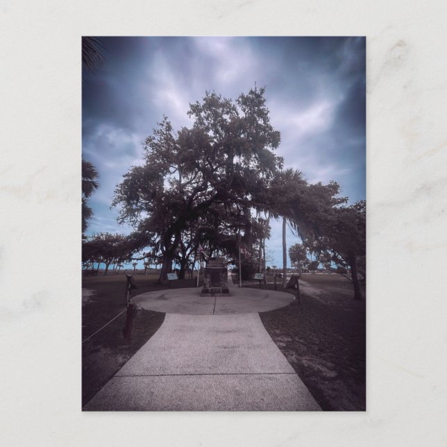 Stone Memorial Under Live Oak Postcard (Front)
