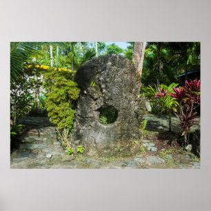 Stone Money In The Jungle Poster