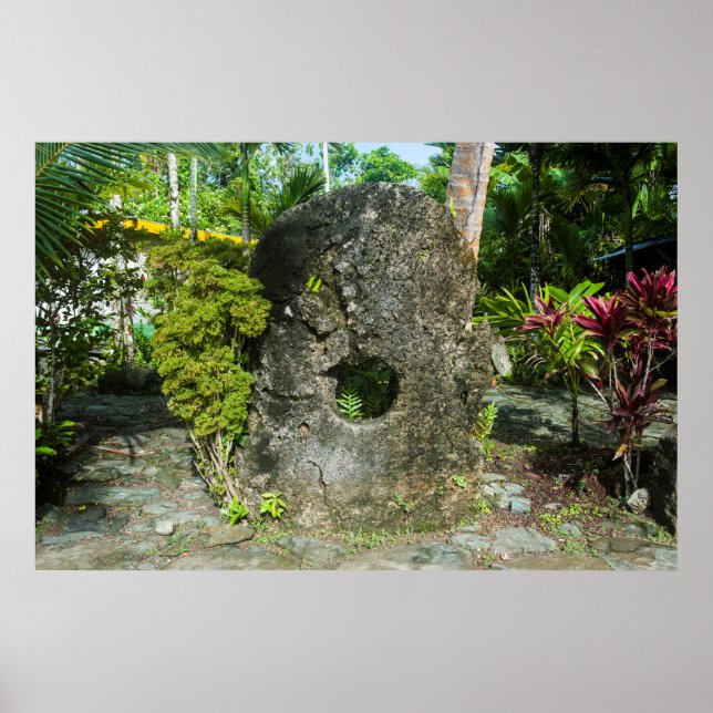 Stone Money In The Jungle Poster (Front)