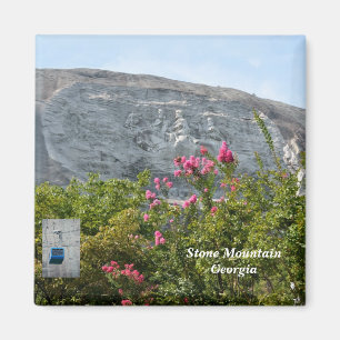 Stone Mountain Georgia  Magnet