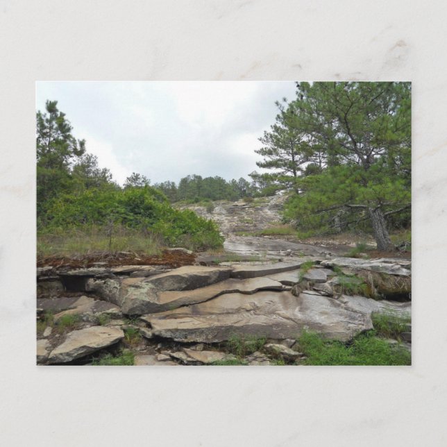 Stone Mountain, Georgia Postcard (Front)