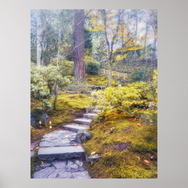 Stone Path in an Autumn Mossy Forest Poster (Front)
