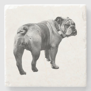 Stone Pencil, Table Calm Coaster