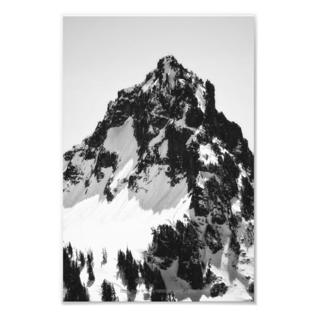 Stone, Snow and Trees Photo Print (Front)