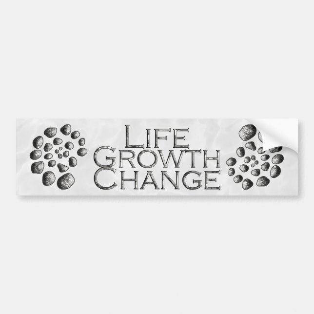Stone Spiral Life Growth Change Bumper Sticker (Front)