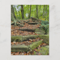 Stone Steps In The Woods