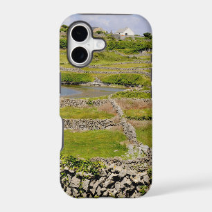 Stone Walls of Ireland
