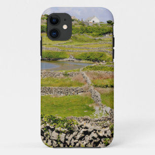 Stone Walls of Ireland iPhone 11 Case