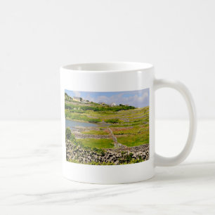 Stone Walls of Ireland Coffee Mug