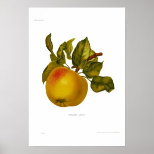 Stones' Apple Poster