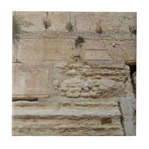 Stones Kotel Western Wall Jerusalem Tile