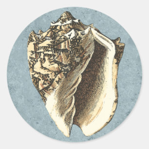 Stonewashed Conch Shell Classic Round Sticker