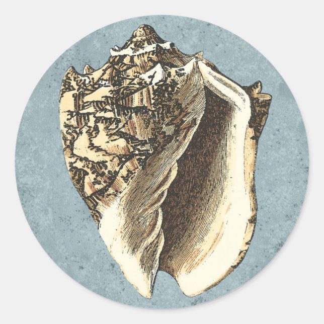 Stonewashed Conch Shell Classic Round Sticker (Front)