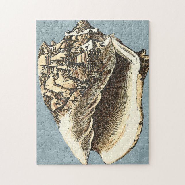 Stonewashed Conch Shell Jigsaw Puzzle (Vertical)