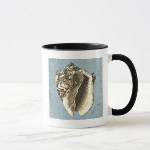 Stonewashed Conch Shell Mug